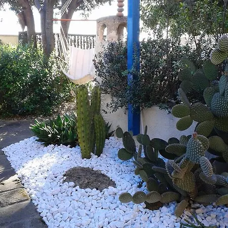 Torremana Cabras